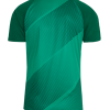 PLAYFUL SS JERSEY SUBLIMATED EVERGREEN