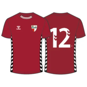 Camiseta jugador 1ª Equipación  AD HENARES