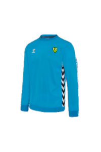 PLAYFUL SWEATSHIRT DIVA BLUE FTY ACADEMY