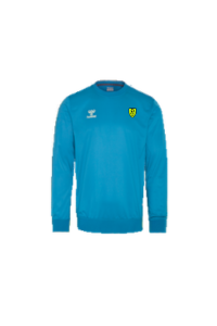 PLAYFUL SWEATSHIRT DIVA BLUE FTY ACADEMY